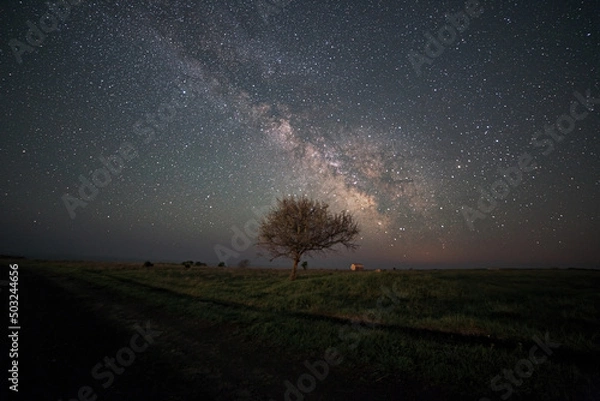 Obraz Milky way tree