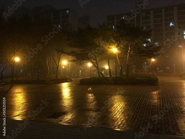 Obraz night, light, rainy,