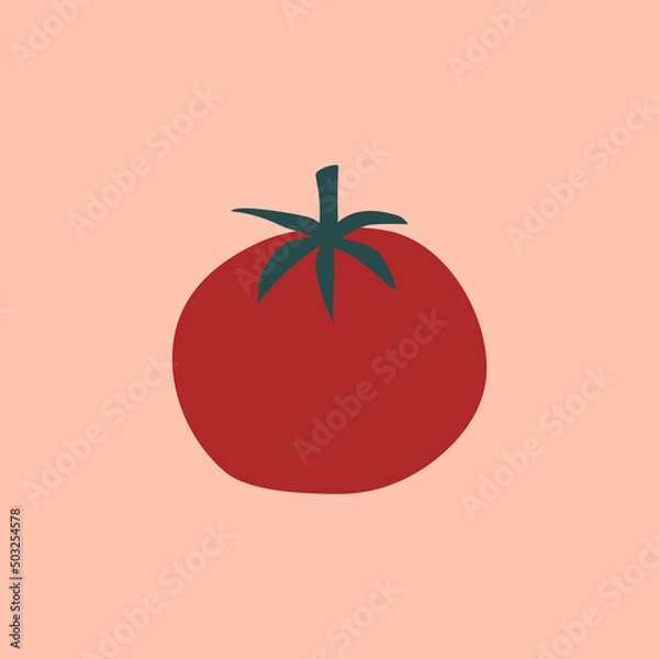 Fototapeta Red abstract tomato hand drawn vector illustration. Isolated vegetables in flat style for logo or icon.
