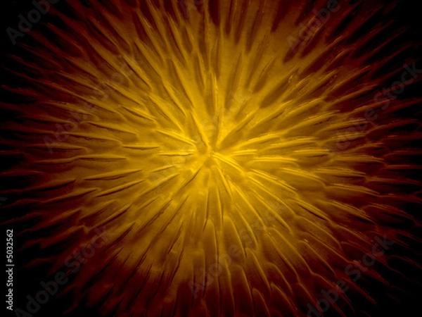 Fototapeta struktur gold