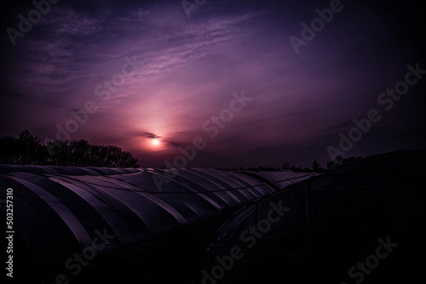 Obraz a beautiful sunset