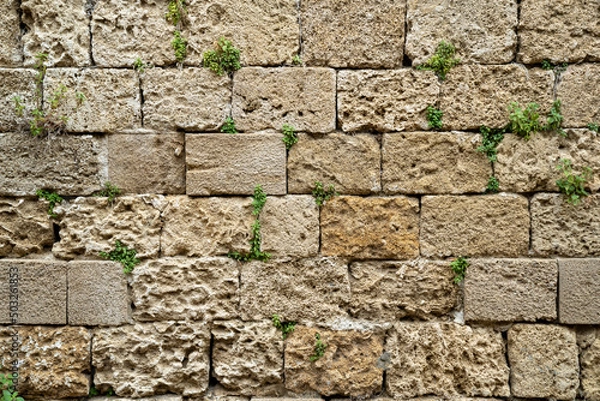 Obraz stone wall background close up