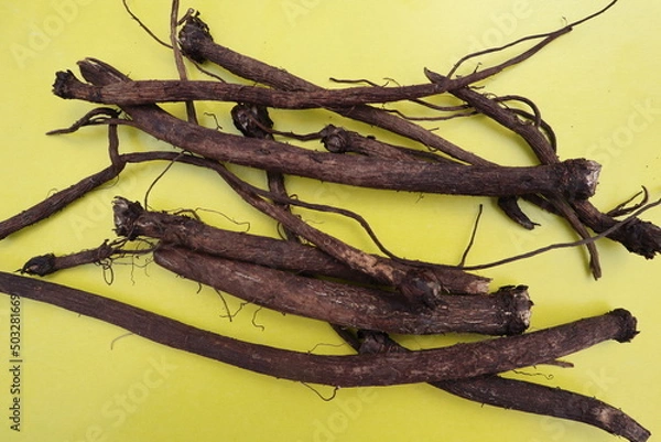 Fototapeta burdock root