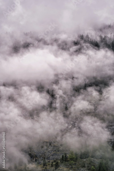 Fototapeta Dramatic fog over forest and dark mood in the mountains - Königssee Alps