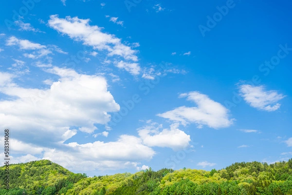 Fototapeta 春の信州　青空と新緑