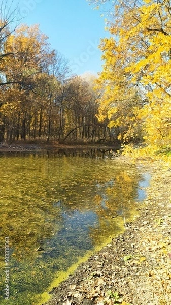 Obraz Осениий пейзаж