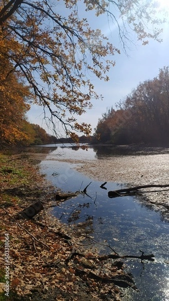 Obraz Осениий пейзаж