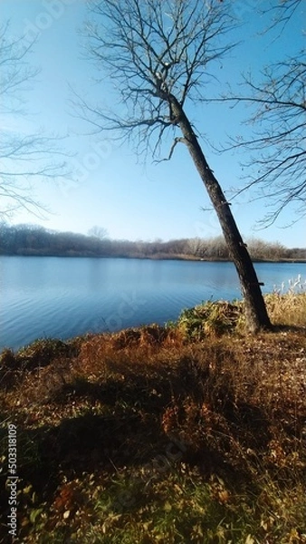 Obraz Осениий пейзаж