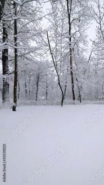 Obraz Зимний пейзаж