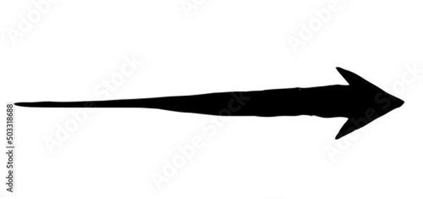 Fototapeta Hand painted arrow drawn with ink brush