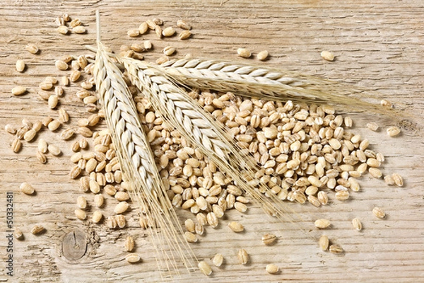 Obraz Barley