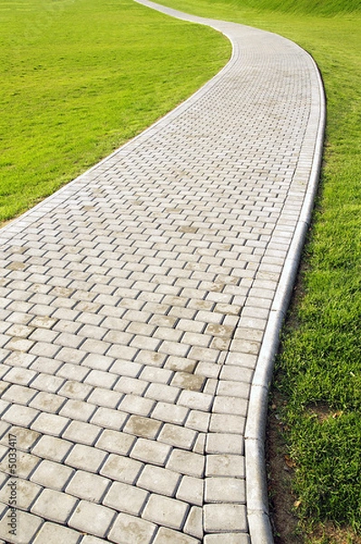 Obraz Curved path and green grass
