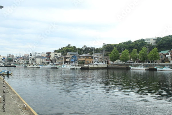 Fototapeta 三浦市　風景