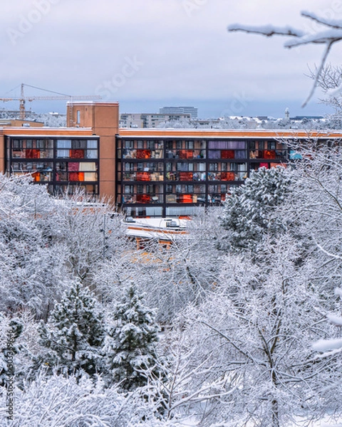 Obraz Rinkeby wintercape