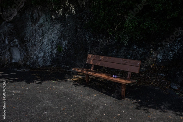 Fototapeta あわしまマリンパークのベンチと忘れ物