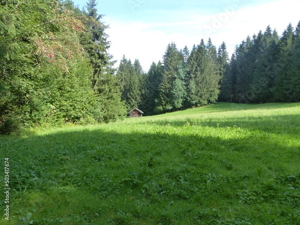 Obraz versteckte Almhütte