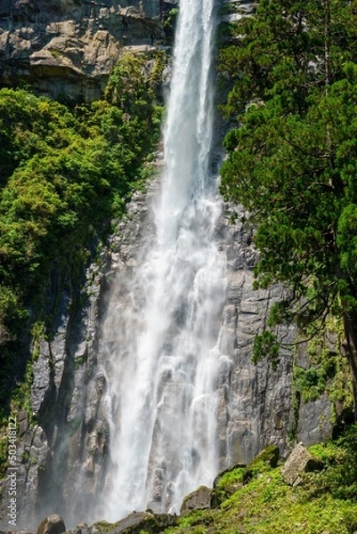 Obraz 世界遺産那智の滝の風景写真