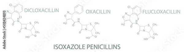 Fototapeta Isoxazole penicillins molecular skeletal chemical formula.