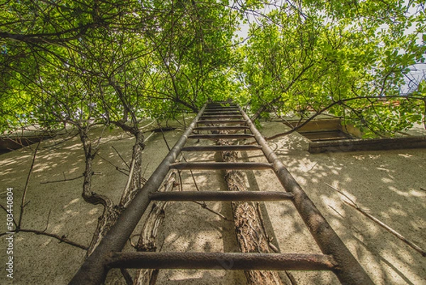 Obraz Lostplace Gasthof