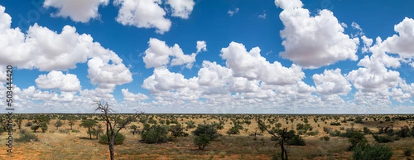 Obraz Kalahari Landscape