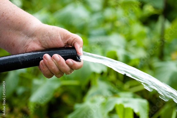 Fototapeta Irrigation