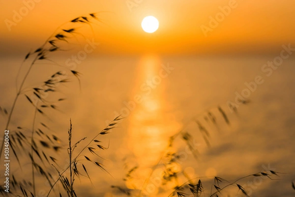 Obraz Warmes Abendlicht am Strand