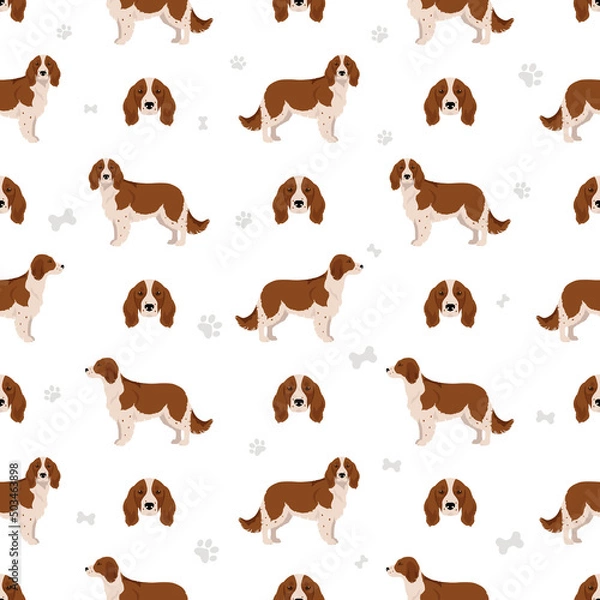 Obraz Welsh Springer spaniel seamless pattern. Different poses, coat colors set