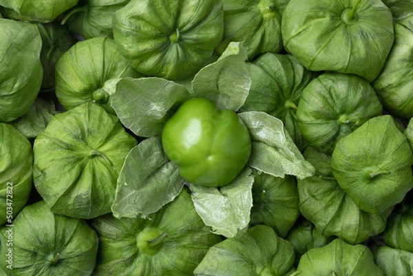 Obraz Fresh raw peeled green tomatillo in a husk full frame close up as background