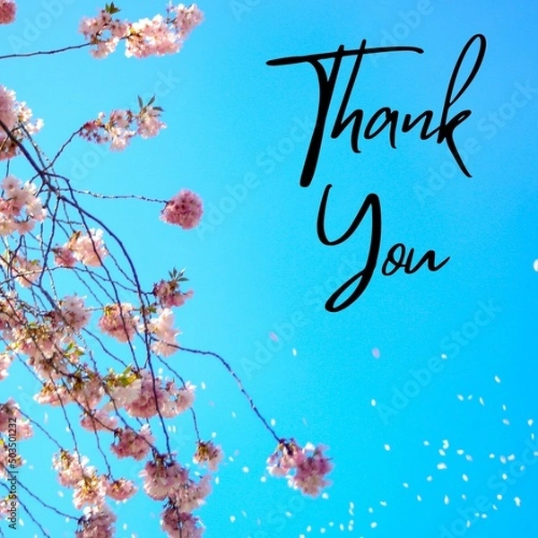 Fototapeta Thank You note