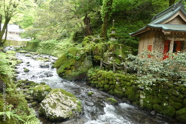 Obraz Mountain Temple