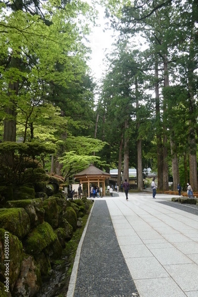 Obraz Mountain Temple