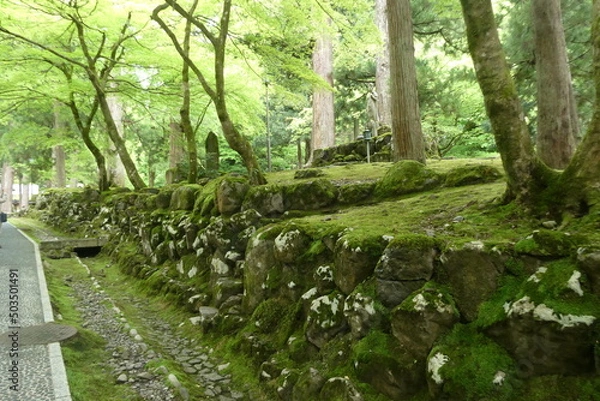 Obraz Mountain Temple