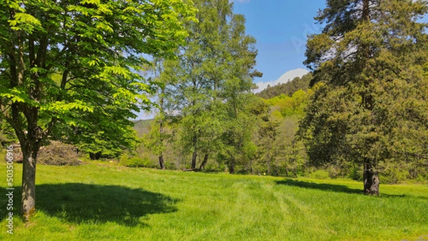 Fototapeta Net Zero Emissions Target