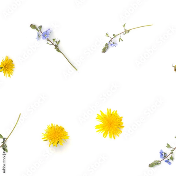 Obraz Repeatable pattern made with real flowers and plants on white background