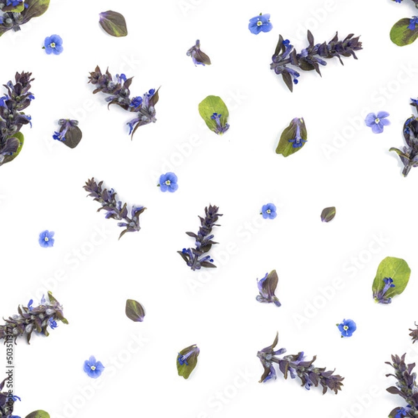 Obraz Repeatable pattern made with real flowers and plants on white background