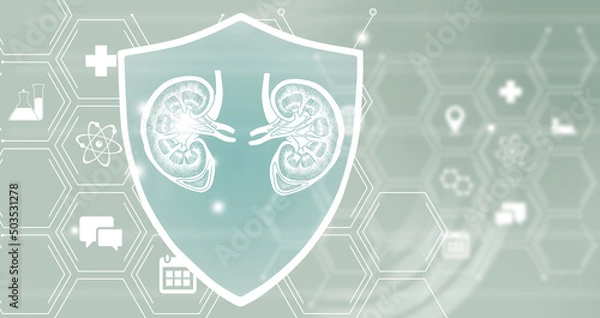 Fototapeta Graphic illustration of kidneys organ protected by a shield. Healthcare concept background with medical icons.
