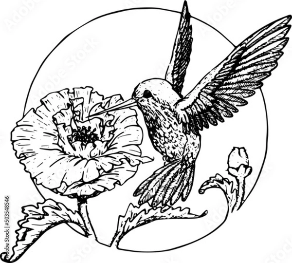 Obraz Hummingbird Floral Flower