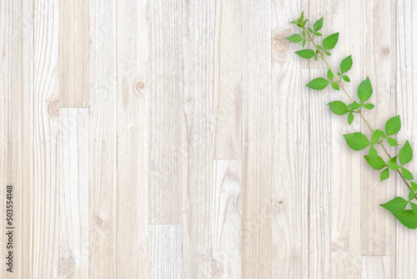 Obraz 木目背景とグリーン