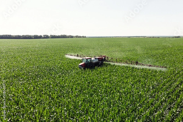 Fototapeta Self-propelled sprayer sprays green corn with pesticides on a photo field from a drone. The tractor sprays the grass with pesticides.