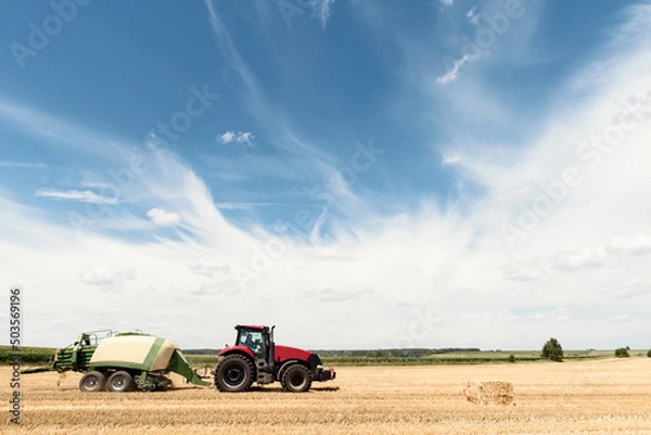 Fototapeta Tractor collects straw in bales on the field. special agricultural machinery. Harvesting hay, straw. Field with bales