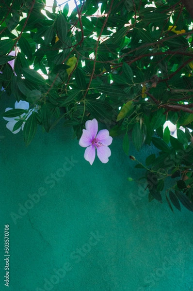 Obraz christmas tree and flowers