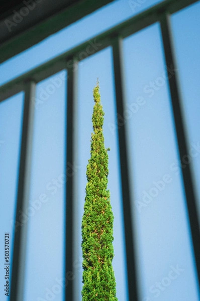 Obraz window in the sky