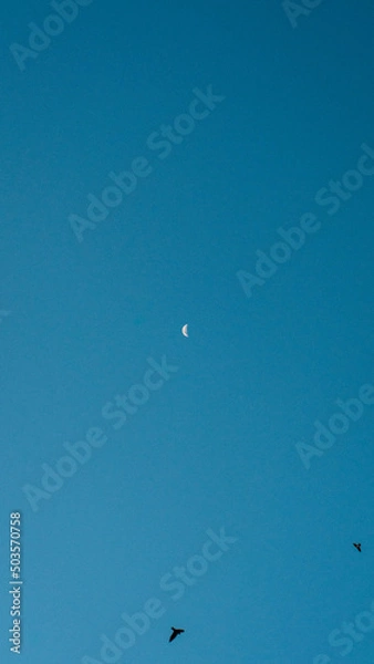 Obraz Day moon