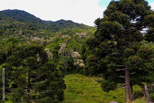 Fototapeta LANDSCAPE