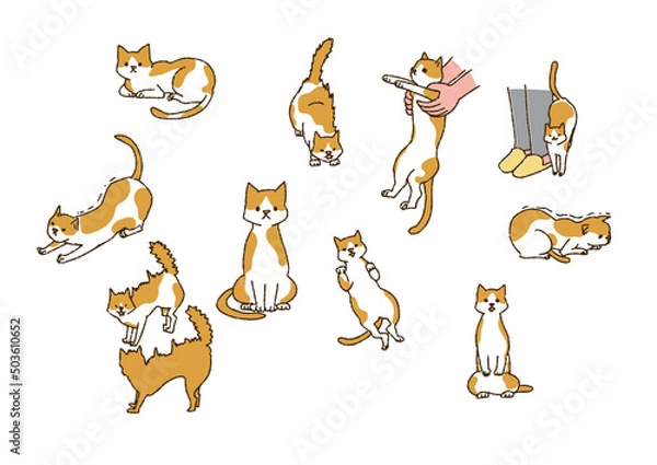 Obraz いろいろな猫のポーズ　人間と暮らす幸福なペット　温かみのある手書きの動物