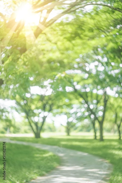 Obraz Blur nature green park with sun light abstract background.