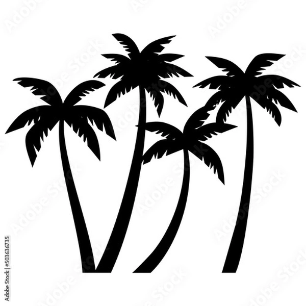 Obraz palm trees silhouettes