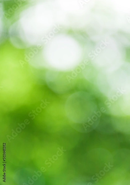 Fototapeta ぼやけて輝く緑の背景