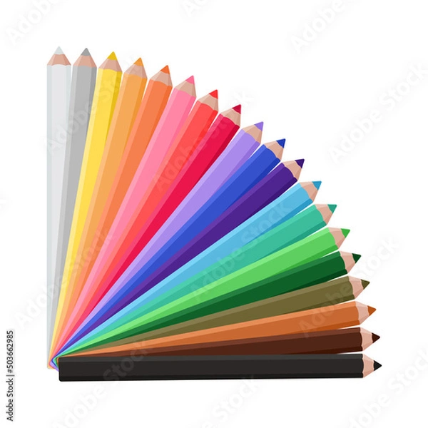Fototapeta Colored pencils of different colors spread out like a fan