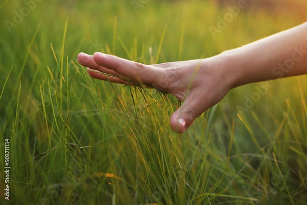 Fototapeta Child hand touching grass. Background with copy space.
